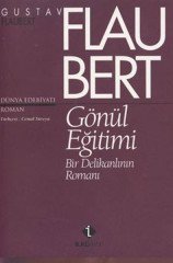 Gönül Eğitimi Bir Delikanlının Romanı
