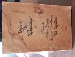 KÖYLERİMİZ NİÇİN KALKINAMIYOR VE FRANSA'DA MAHALLİ İDARELER EKİPMAN ÇALIŞMALARININ MALİ KAYNAKLARI