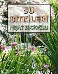 Su Bitkileri