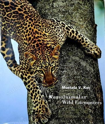 Karşılaşmalar - Wild encounters.