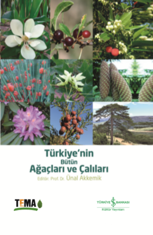 TÜRKİYE’NİN BÜTÜN AĞAÇLARI VE ÇALILARI (Ciltli)