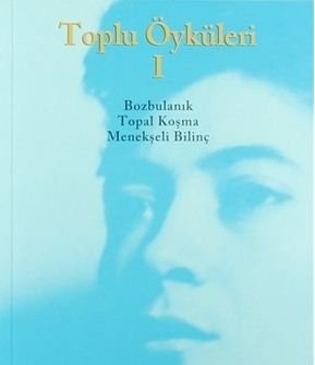 Toplu Öyküleri 1 (Nezihe Meriç)