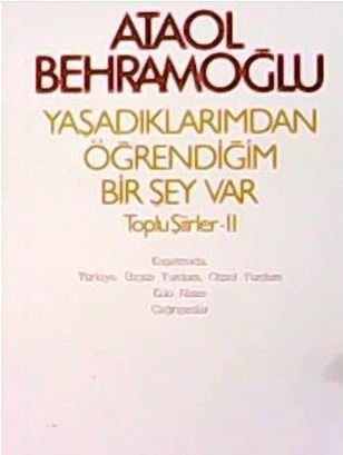 Yaşadıklarımdan Öğrendiğim Bir Şey Var