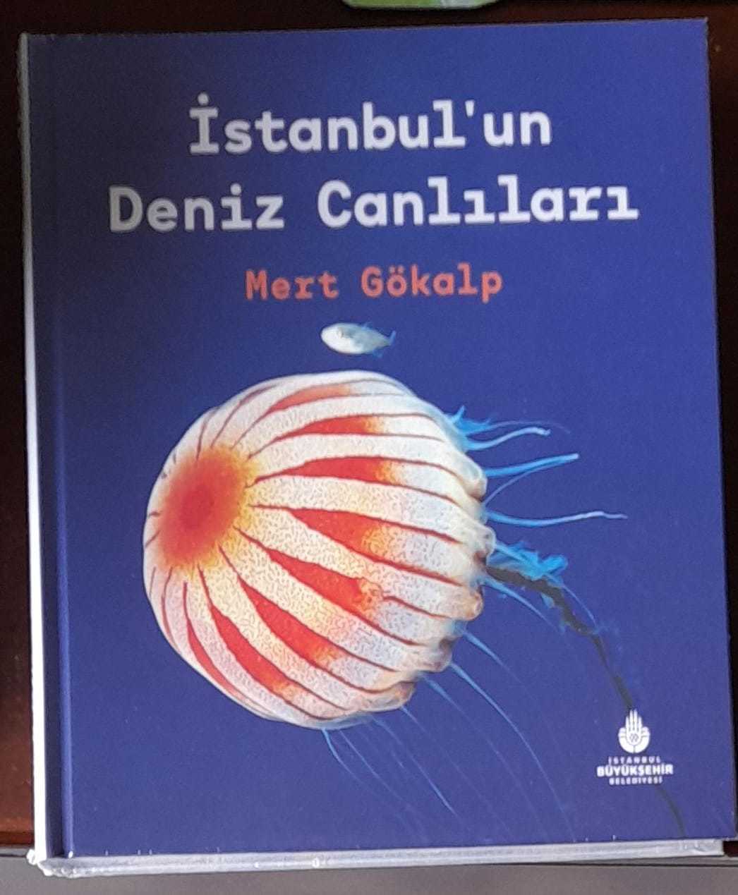 İstanbul'un Deniz Canlıları - Mert Gökalp