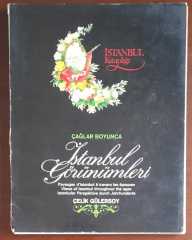 Çağlar Boyunca İstanbul Görünümleri