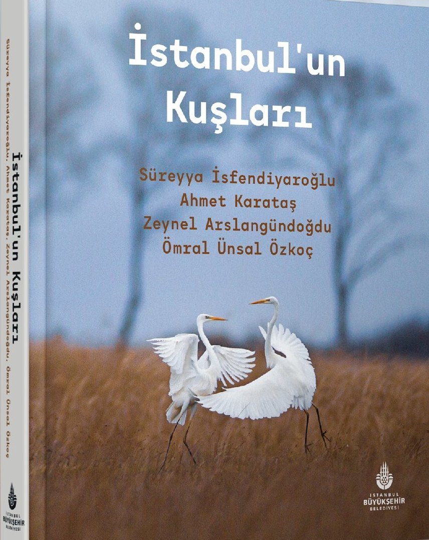 İstanbul'un Kuşları