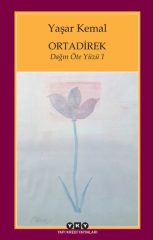 Dağın Öte Yüzü 1 - Ortadirek