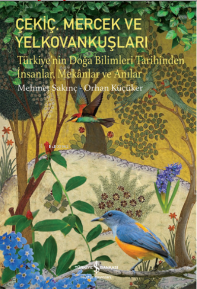 Çekiç, Mercek ve Yelkovankuşları