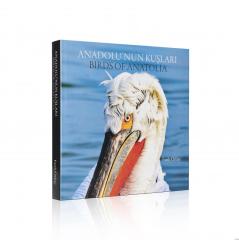 Anadolu'nun Kuşları : Birds of Anatolia