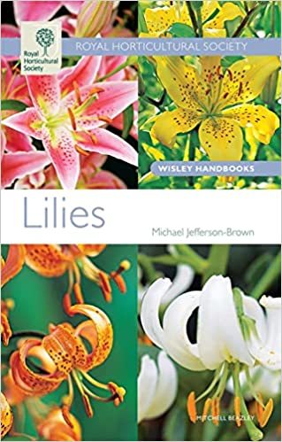 Lilies