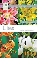 Lilies