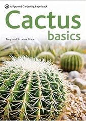 Cactus Basics