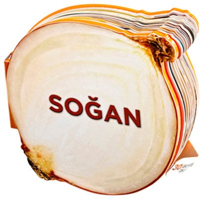 Soğan - Lezzetli Magnetler
