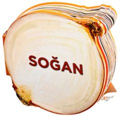 Soğan - Lezzetli Magnetler