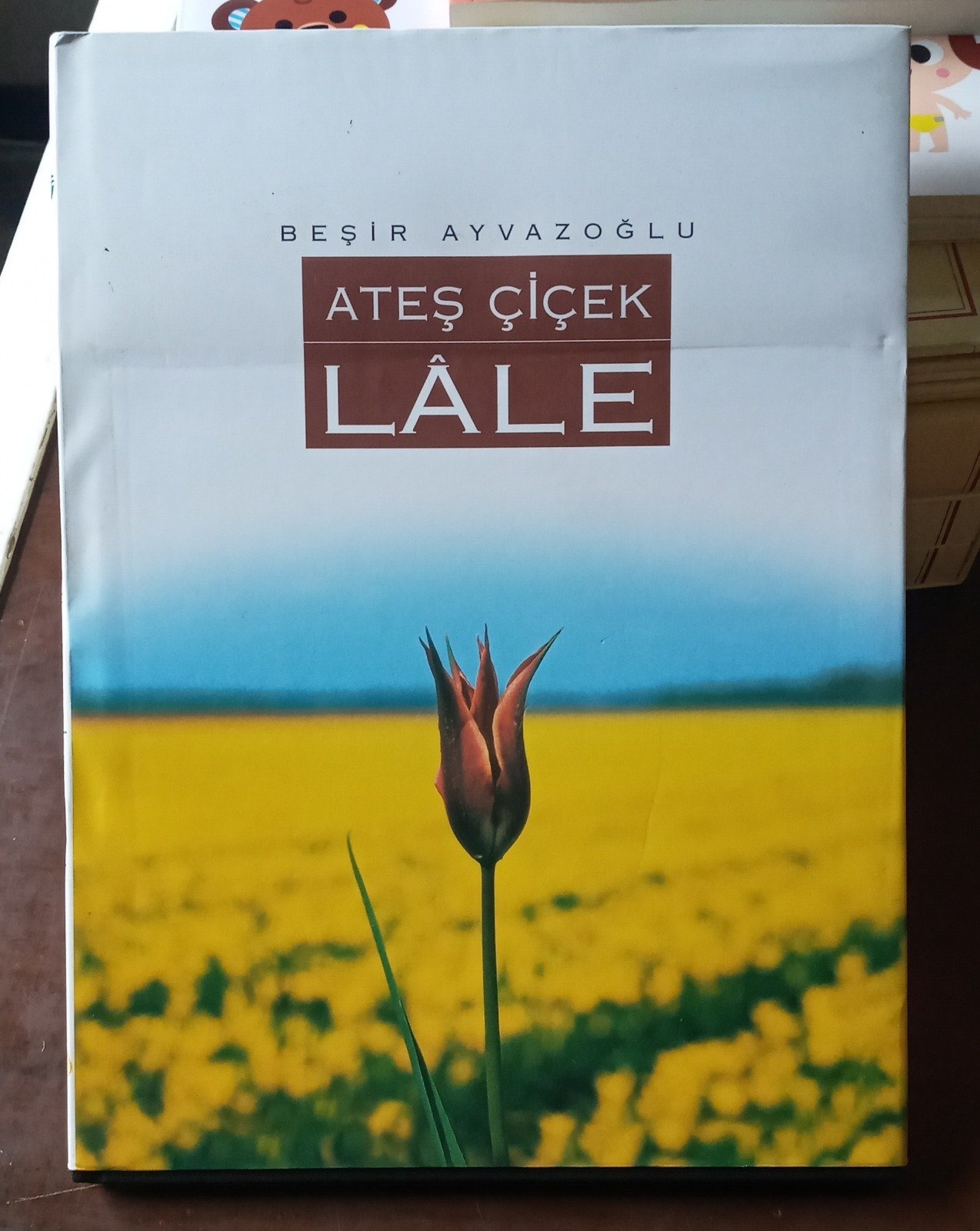 Ateş Çiçek Lale